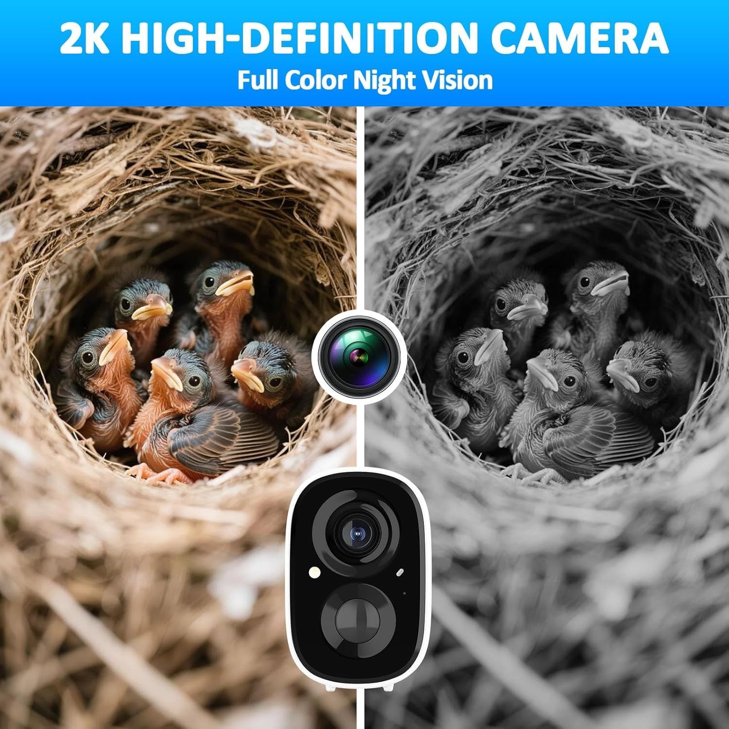 Two views of baby birds in a nest with a camera illustration, one in color and one in black and white, labeled '2K High-Definition Camera Full Color Night Vision'.