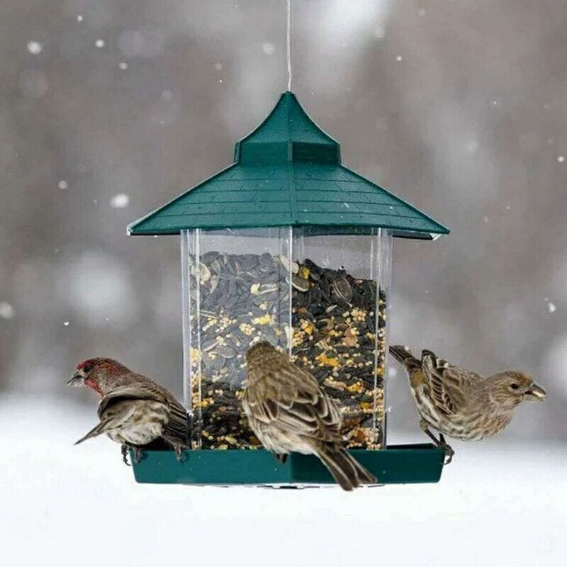 Green bird feeder with clear side panels showing birds eating seeds against a snowy background