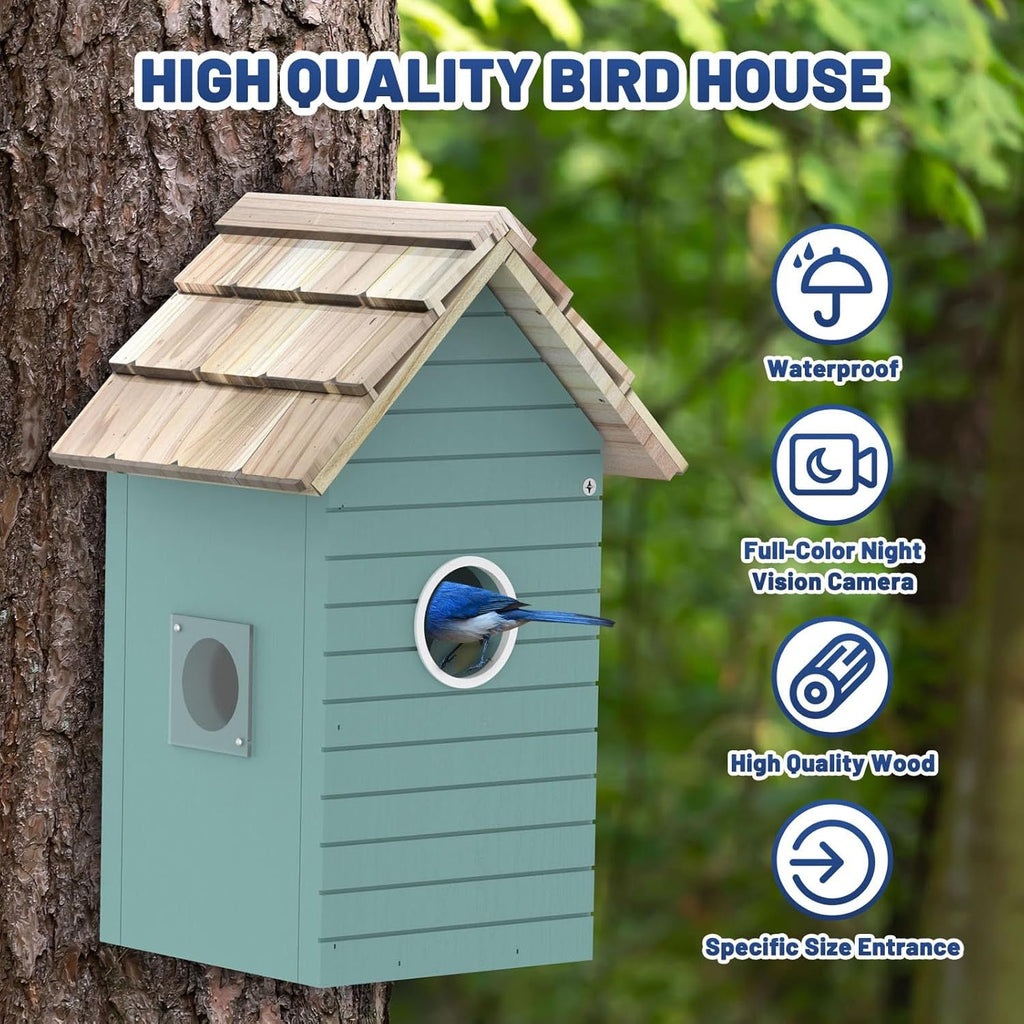 Bird house with features highlighted on a tree trunk
