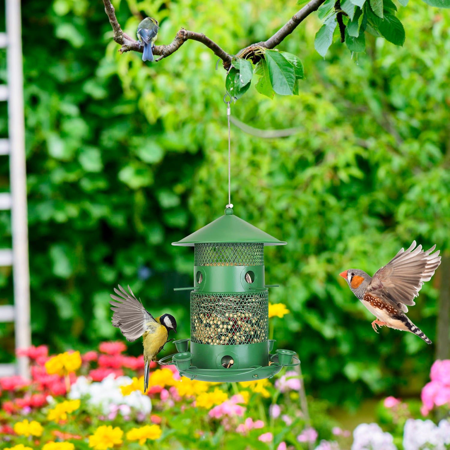 Green bird feeder hanging from a branch with birds around in a garden setting