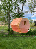 Bird Pod