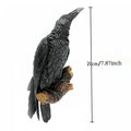 Outdoor Raven or Crow statute for home or garden