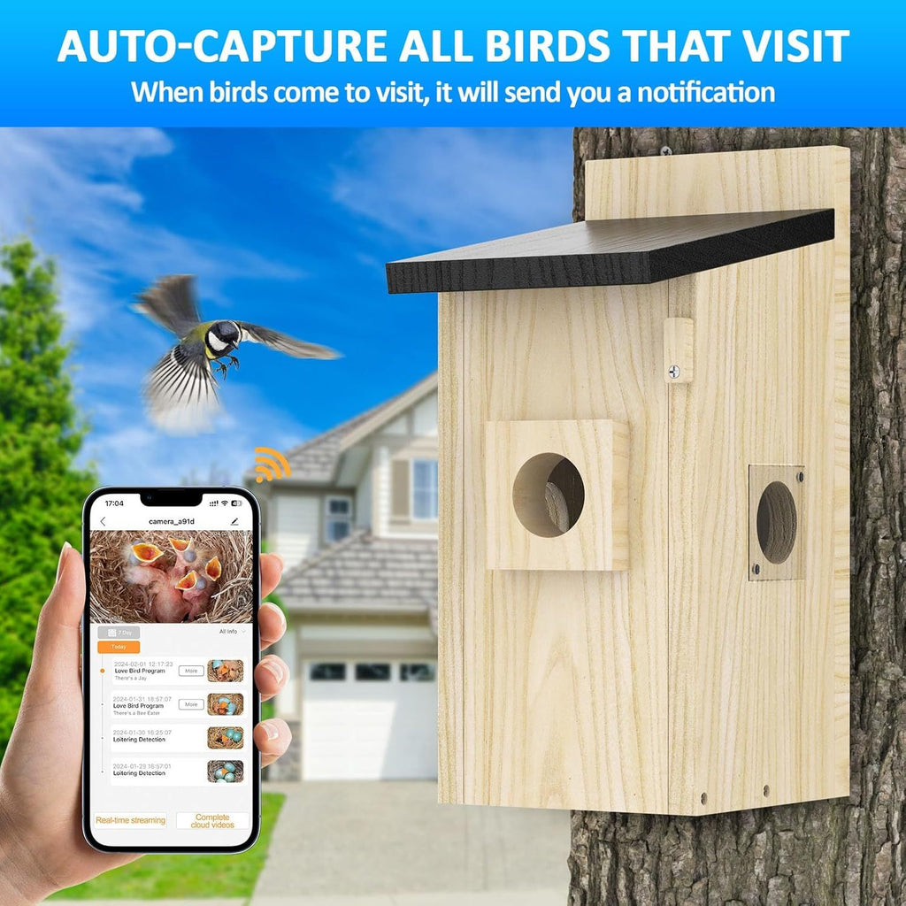 Birdhouse with smartphone app showing bird activity, set against a clear blue sky.