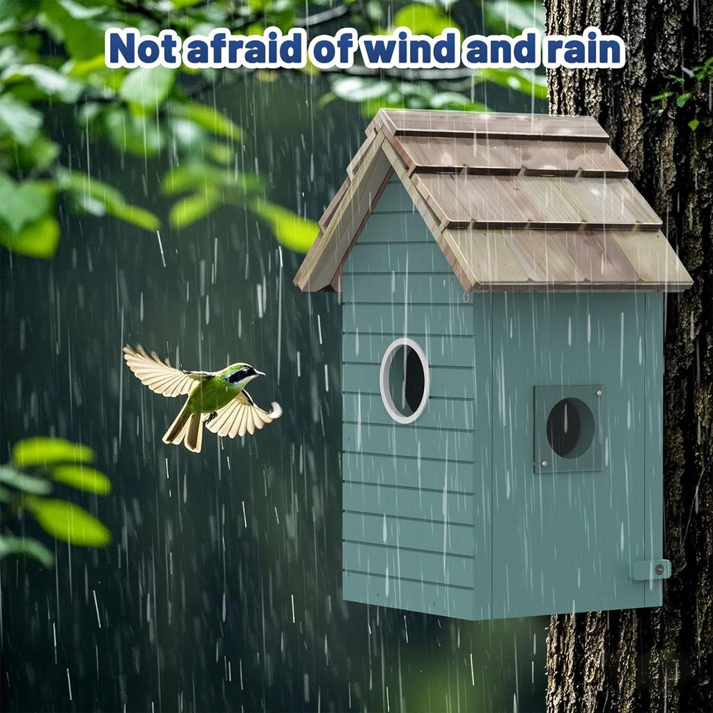 Birdhouse on a tree with a bird flying by, surrounded by raindrops.