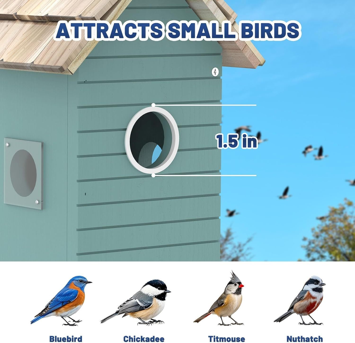 Birdhouse with a circular entrance hole, labeled '1.5 in', and birds attracted to it.
