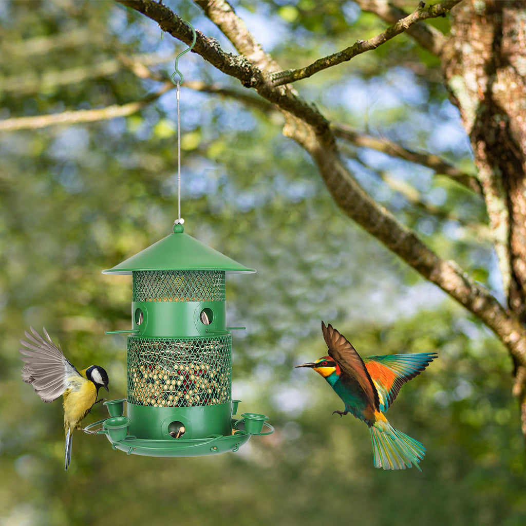 Green bird feeder hanging from a tree branch with birds interacting with it.