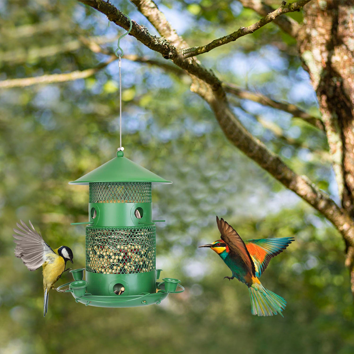 Green bird feeder hanging from a tree branch with birds interacting with it.