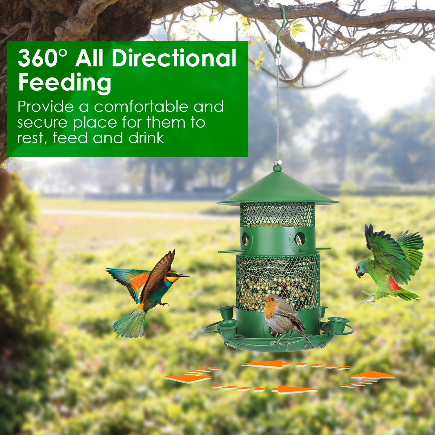 Green bird feeder with birds around it in a natural setting, featuring text about all-directional feeding.